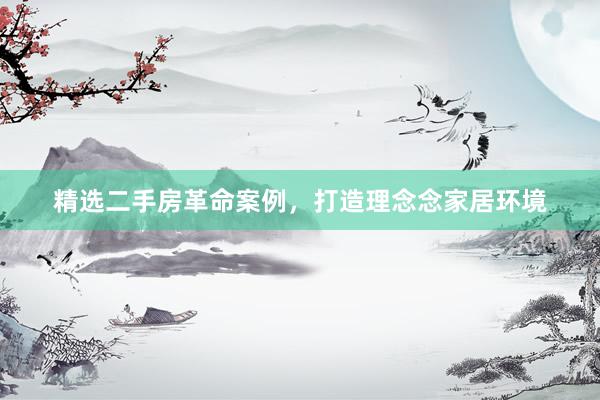精选二手房革命案例，打造理念念家居环境